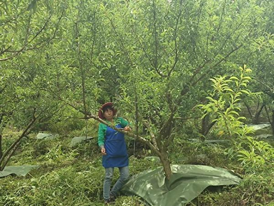 防伪标签制作_防伪标签制作流程_防伪标签制作哪家好_js3333线路检测中心防伪