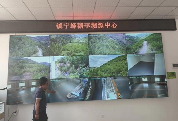 防伪标签制作_防伪标签制作流程_防伪标签制作哪家好_js3333线路检测中心防伪