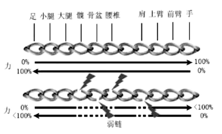 悬吊训练系统 怎么装悬吊训练疗法（SET）如何应用在脑损伤患者中，你知道吗？_https://www.jmylbn.com_新闻资讯_第12张