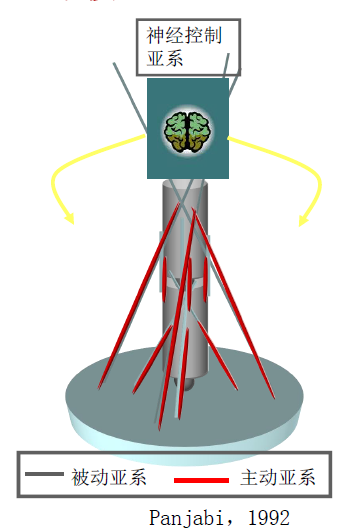悬吊训练系统 怎么装悬吊训练疗法（SET）如何应用在脑损伤患者中，你知道吗？_https://www.jmylbn.com_新闻资讯_第7张
