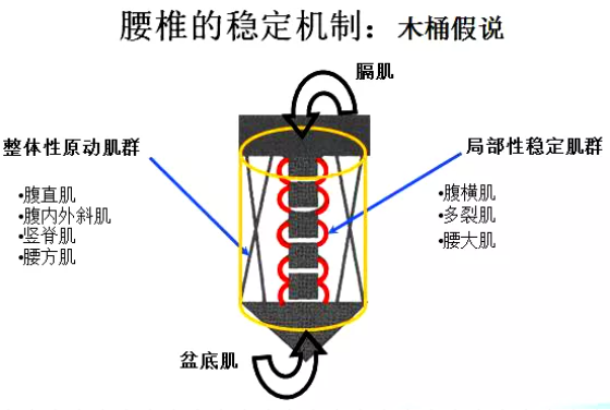 悬吊训练系统 怎么装悬吊训练疗法（SET）如何应用在脑损伤患者中，你知道吗？_https://www.jmylbn.com_新闻资讯_第8张