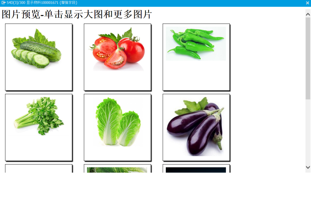 SAP 操作手册之通过 BSP 应用程序调用 JS 代码 - 封面图