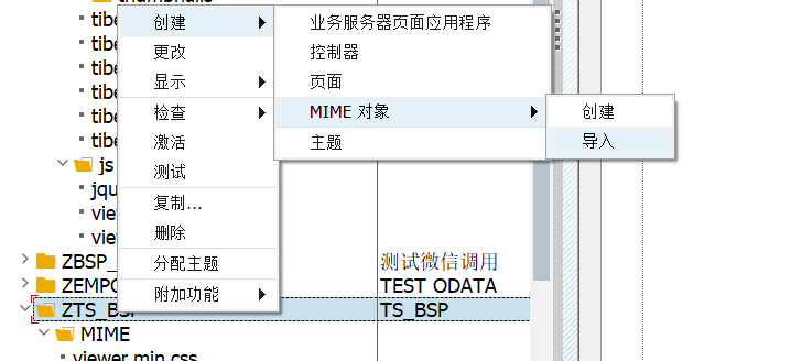 SAP 操作手册之通过 BSP 应用程序调用 JS 代码 - 封面图