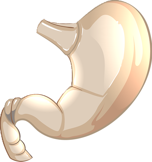 洗胃去什么科【内二科科普】经消化道的急性中毒要不要洗胃呢？_https://www.jmylbn.com_新闻资讯_第2张