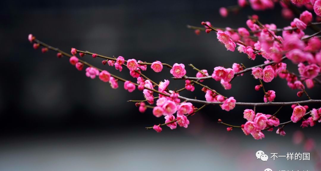 十年后真正值钱的东西 ，不是房子和存款，而是.....