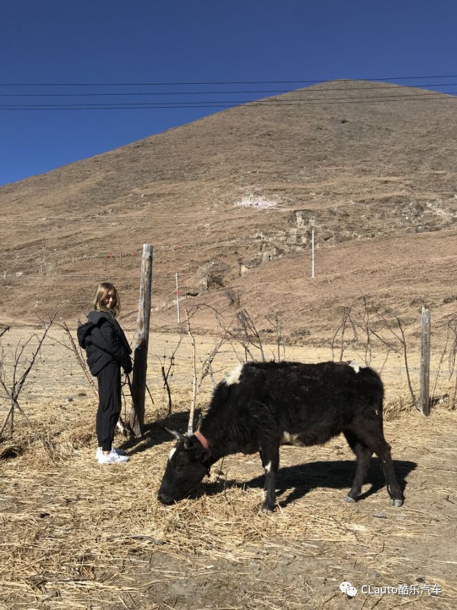 Blue：開著86上西藏，得漂得漂得意的漂（下）| 酷樂的故事 旅遊 第6張