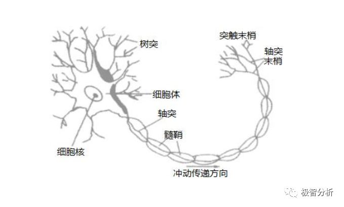 机器学习干货篇：人工神经网络（上）