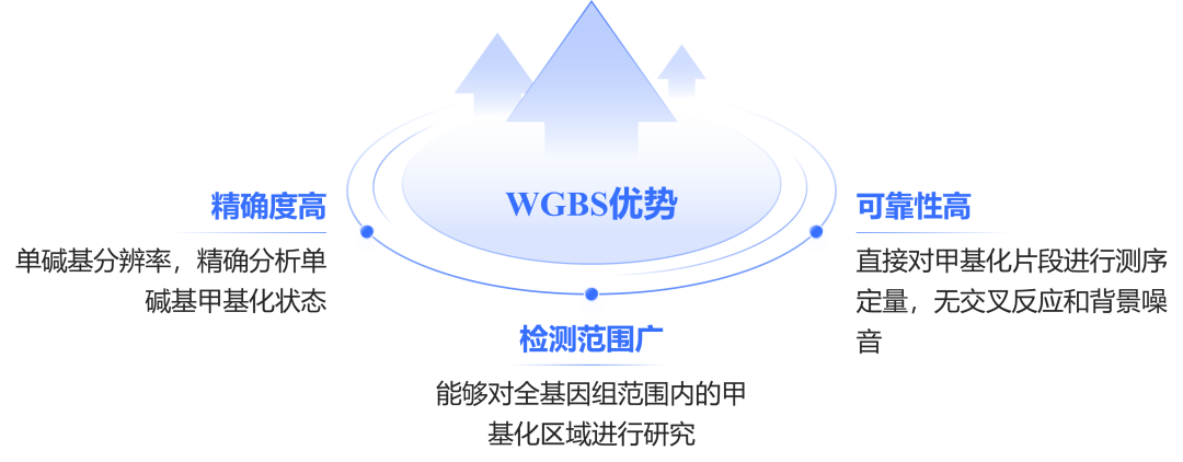 WGBS优势.png
