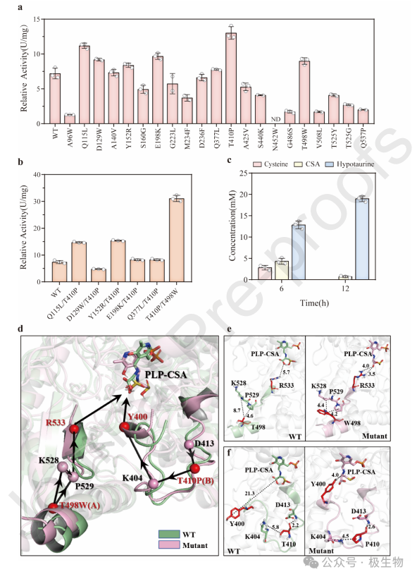 牛磺酸基因挖掘2