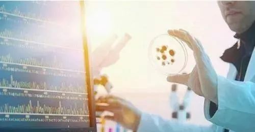 最全的全脑教育，不容错过！