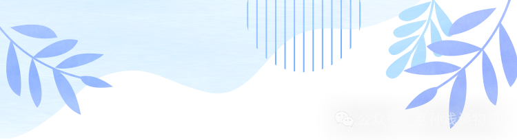 公众号·老孙浅谈物流\n