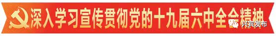 养甲鱼致富视频_养甲鱼赚钱_致富经养甲鱼