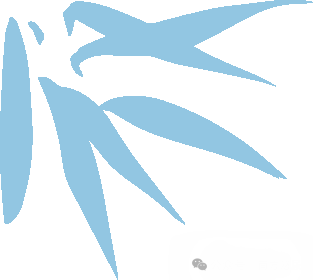 包皮环切缝合器是什么缝合器式包皮环切术可能出现的情况和不良反应_https://www.jmylbn.com_新闻资讯_第1张