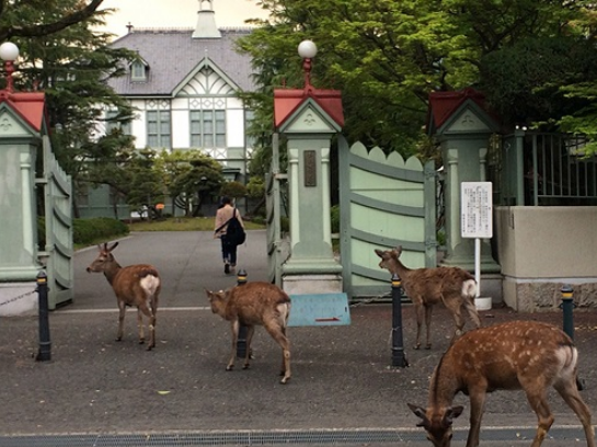 日本全国唯二的两所国立女子大学 名校志向塾 留学 进学权威辅导 腾讯企业空间