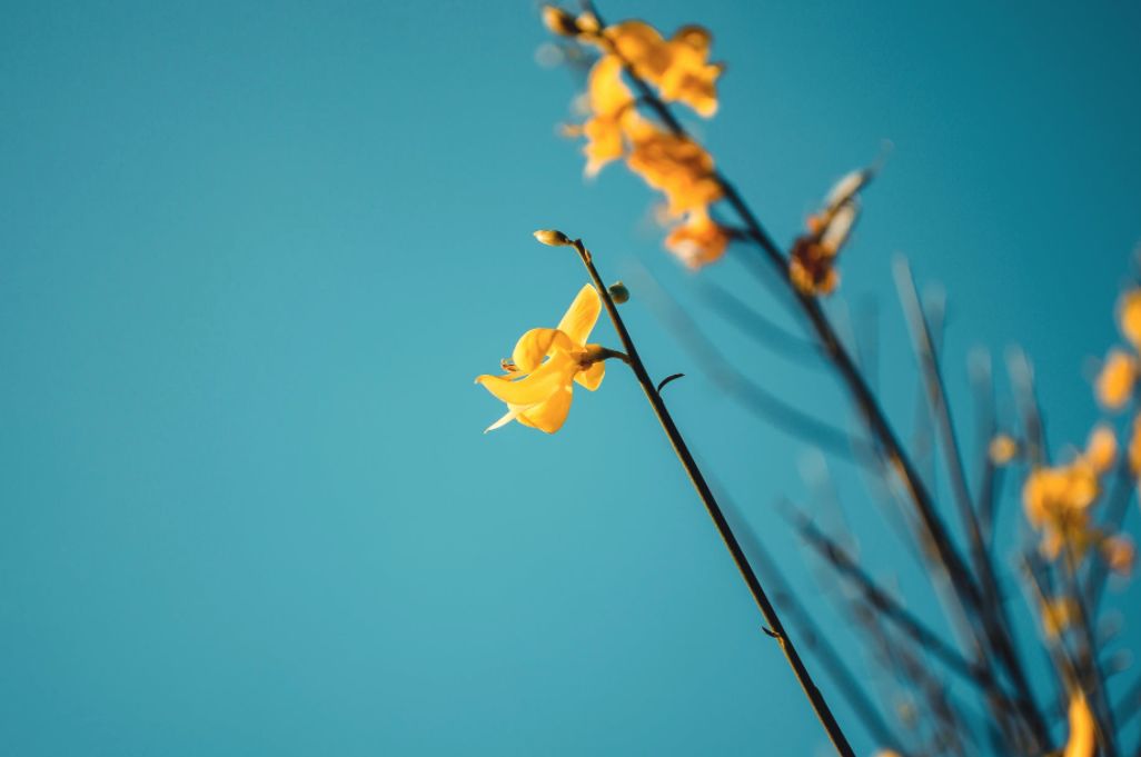 早听：人有三“顺”，一顺则百顺（深度好文）