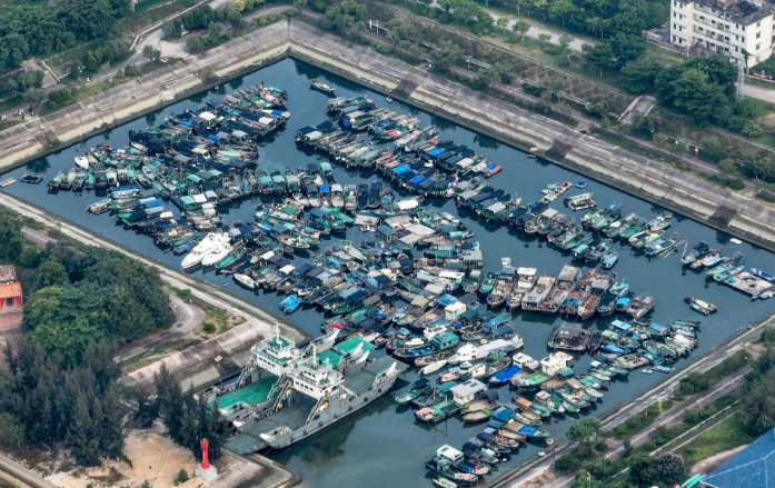 在特呈岛避风港，300多艘船只停泊在港内避风。