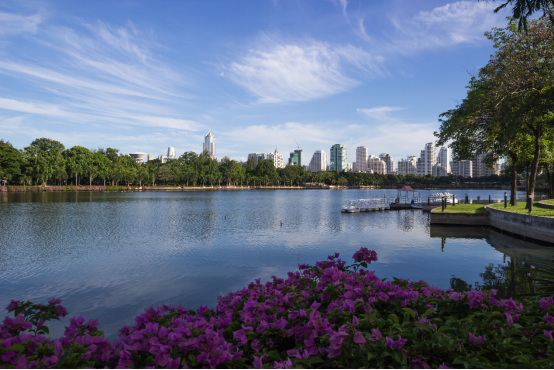 白云TOD项目，珠江右岸周边配套怎么样？