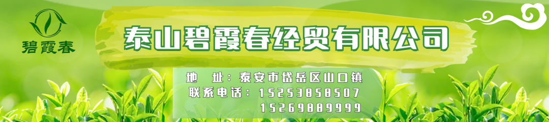 泰安考試事業(yè)單位公告_泰安事業(yè)單位考試_泰安事業(yè)編考試