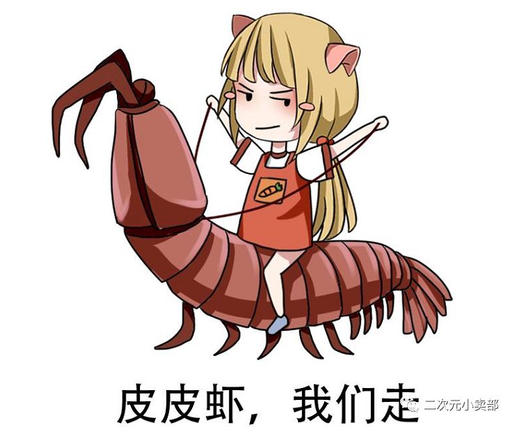 2017就要骑着皮皮虾走了,你却和肥肉一起迎来2018