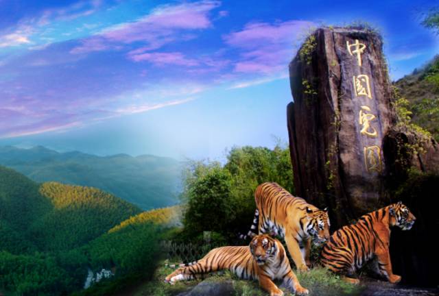 免费玩!免费玩!免费玩!7月29日-31日免门票畅游梅花山虎园!_小鱼网旅