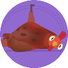 疯狂的鸽子表情秀