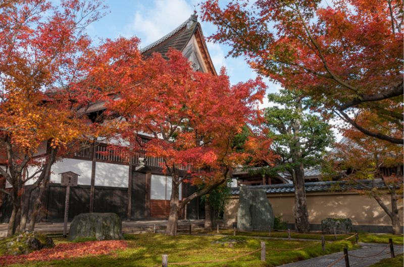 日本红叶季 古典庭院与现代商业景观之旅 环球观筑 环球观筑 微信公众号文章阅读 Wemp