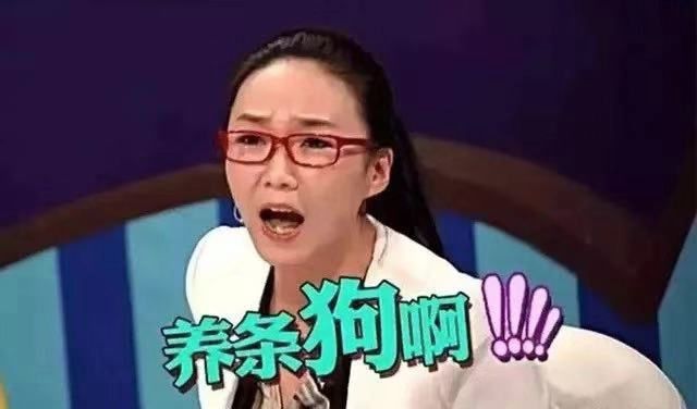 英文遛狗怎么说音标_遛狗英文_英语遛狗的短语