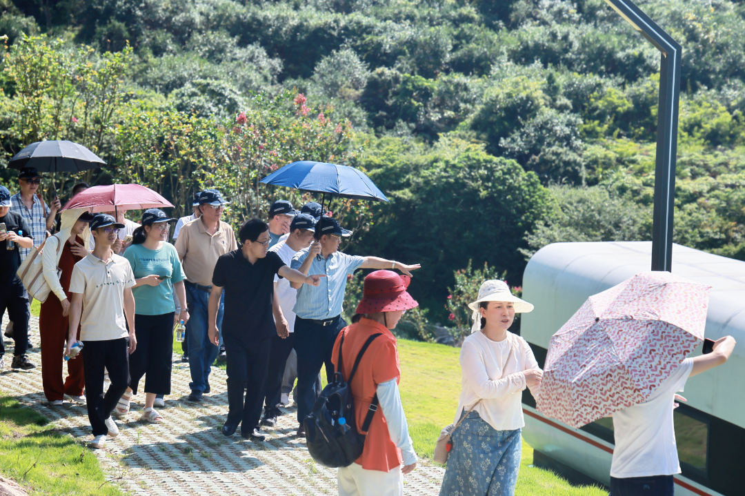 闽都文化名家讲（第146期）| 寻脉闽都古厝山水 智绘南岭振兴新篇