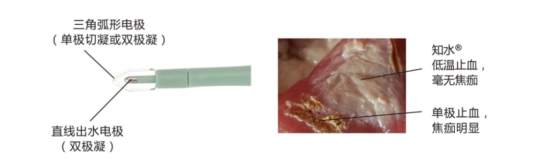 为什么电极能止血集采突围！创新止血电外科耗材，百亿市场，全国招商！_https://www.jmylbn.com_新闻资讯_第10张