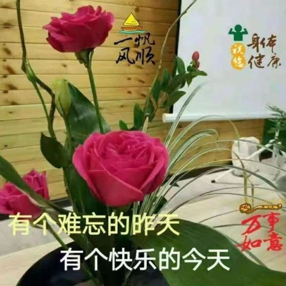 元宵节，人生苦点累点，谁也摆脱不了！