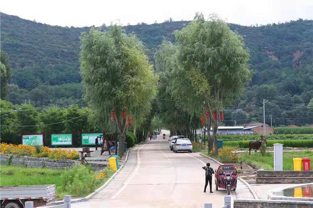 富县直罗镇胡家坡村支部引领让村民日子越过越红火