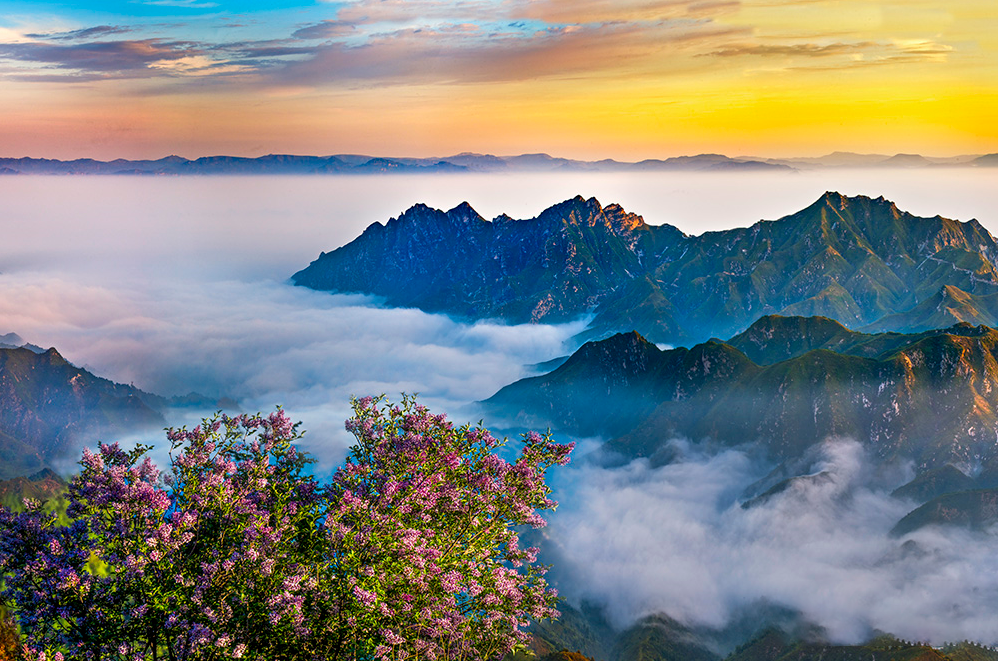 这里的春景自带仙气儿美上山巅