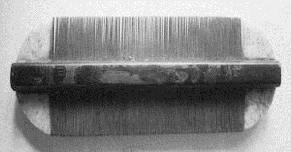 篦子的照片_篦子图片_篦子是干什么用的