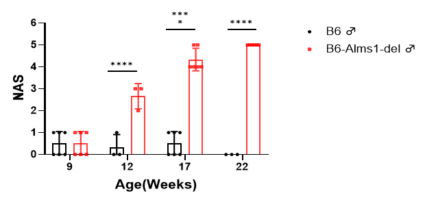 图10.png
