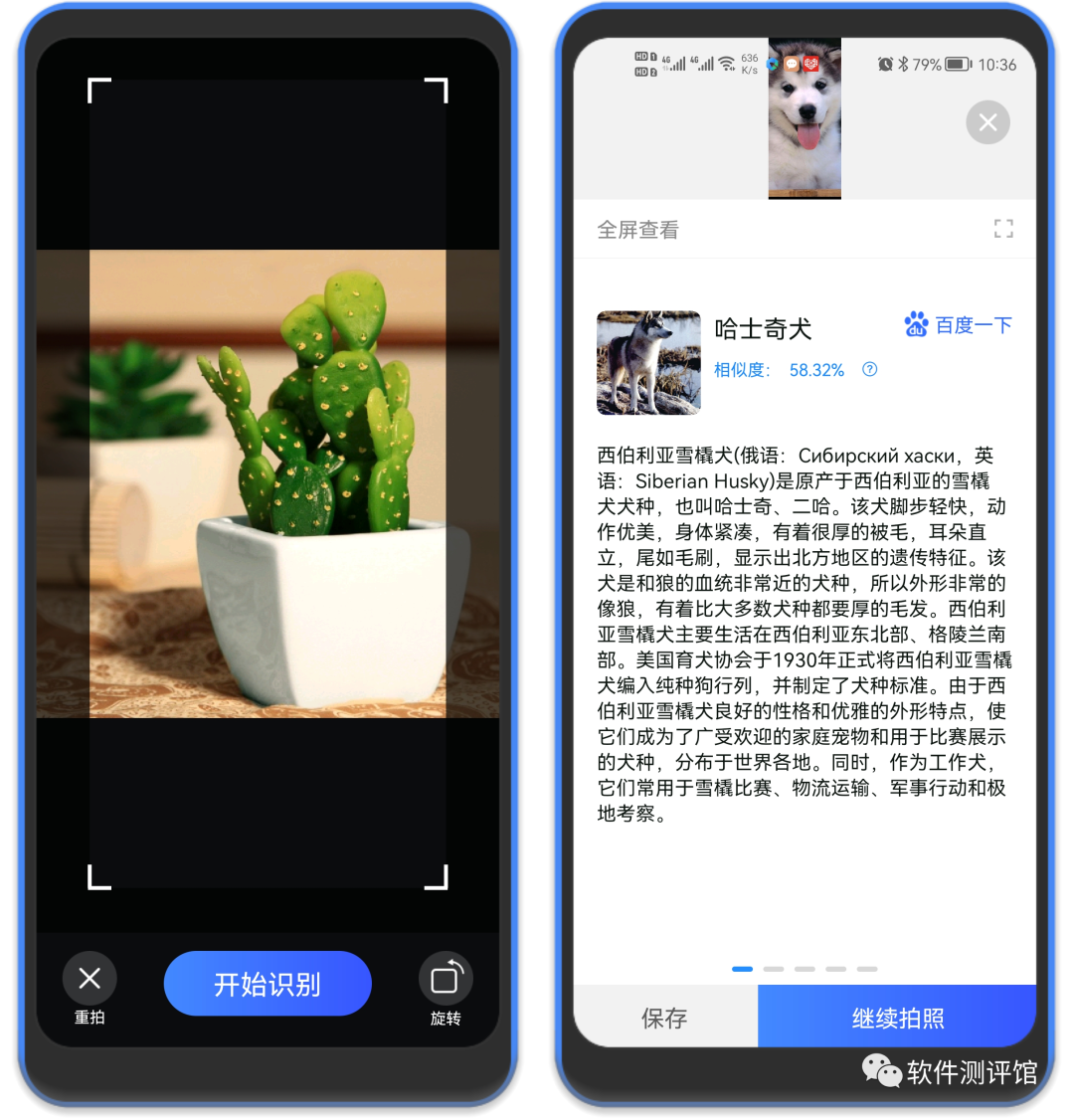 AI扫描助手，超优秀破解神器！啥啥都知道！