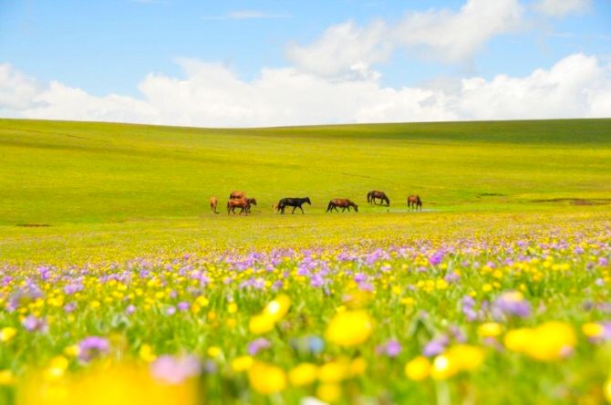 2019年夏天，最火的十個小鎮 旅遊 第7張