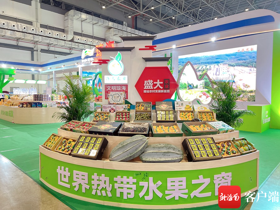 南海网 | 个头大口感好 文昌“凤尾冬瓜”畅销岛外