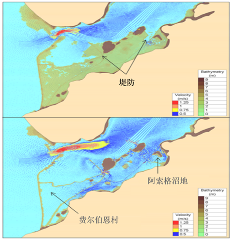 【CAE案例】复杂入海口水动力仿真的图5