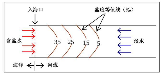 基于二维水动力模型的密度驱动流模拟的图1