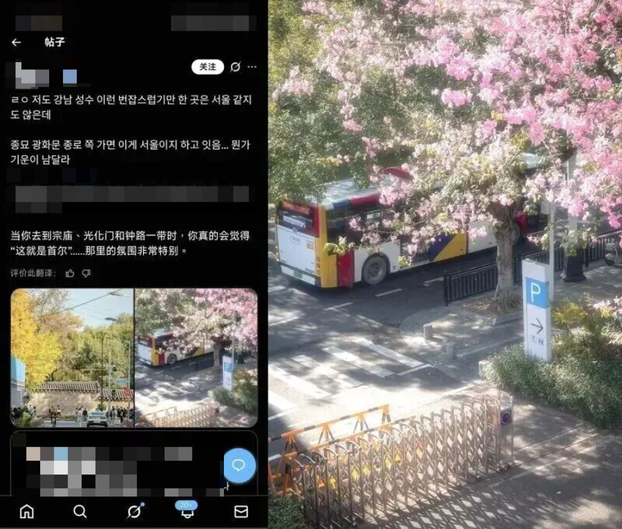 该摄影爱好者拍摄的照片被搬运到了外网，配文“这就是首尔”（左），该照片2025年拍摄于广州市黄埔区（右）