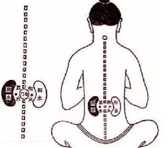 吃了补肾性药小黄胶，为什么老婆还是不满意我？