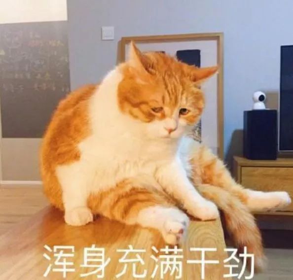 小牛品牌型号_小牛牌子_5小牛牌型