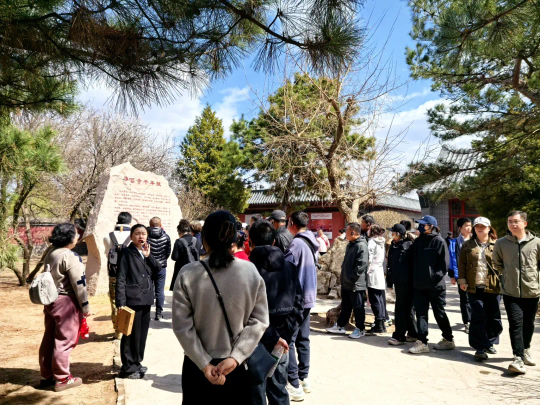 游客打卡奉国寺。义县县委宣传部供图