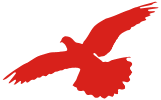 学党史应知_学党史要学出新知识_学党史知识出新要求怎么写