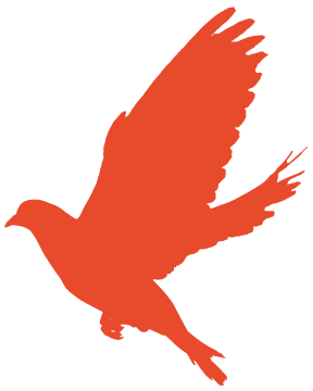 学党史知识出新要求怎么写_学党史要学出新知识_学党史应知