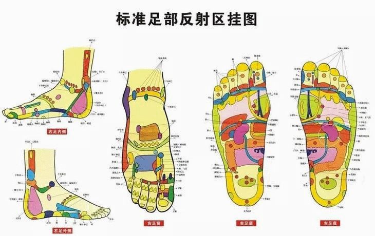 堪比按摩師的足療機！熱敷、按腳、按腿、還能按背！ 健康 第11張