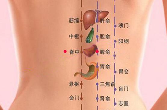 堪比按摩師的足療機！熱敷、按腳、按腿、還能按背！ 健康 第25張