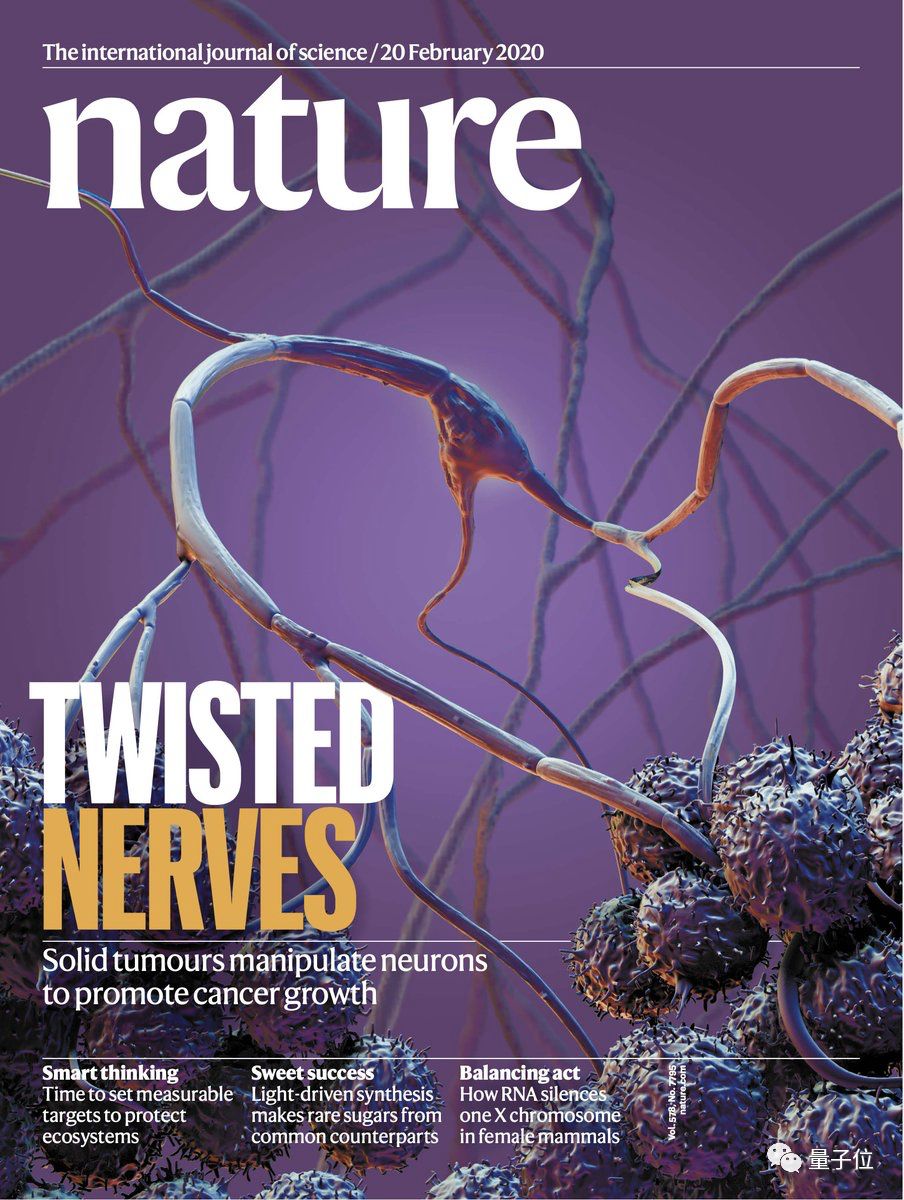癌细胞 绑架 神经元帮自己壮大 科学家破译癌细胞分子机制 最新nature封面 量子位 每日精选公众号文章