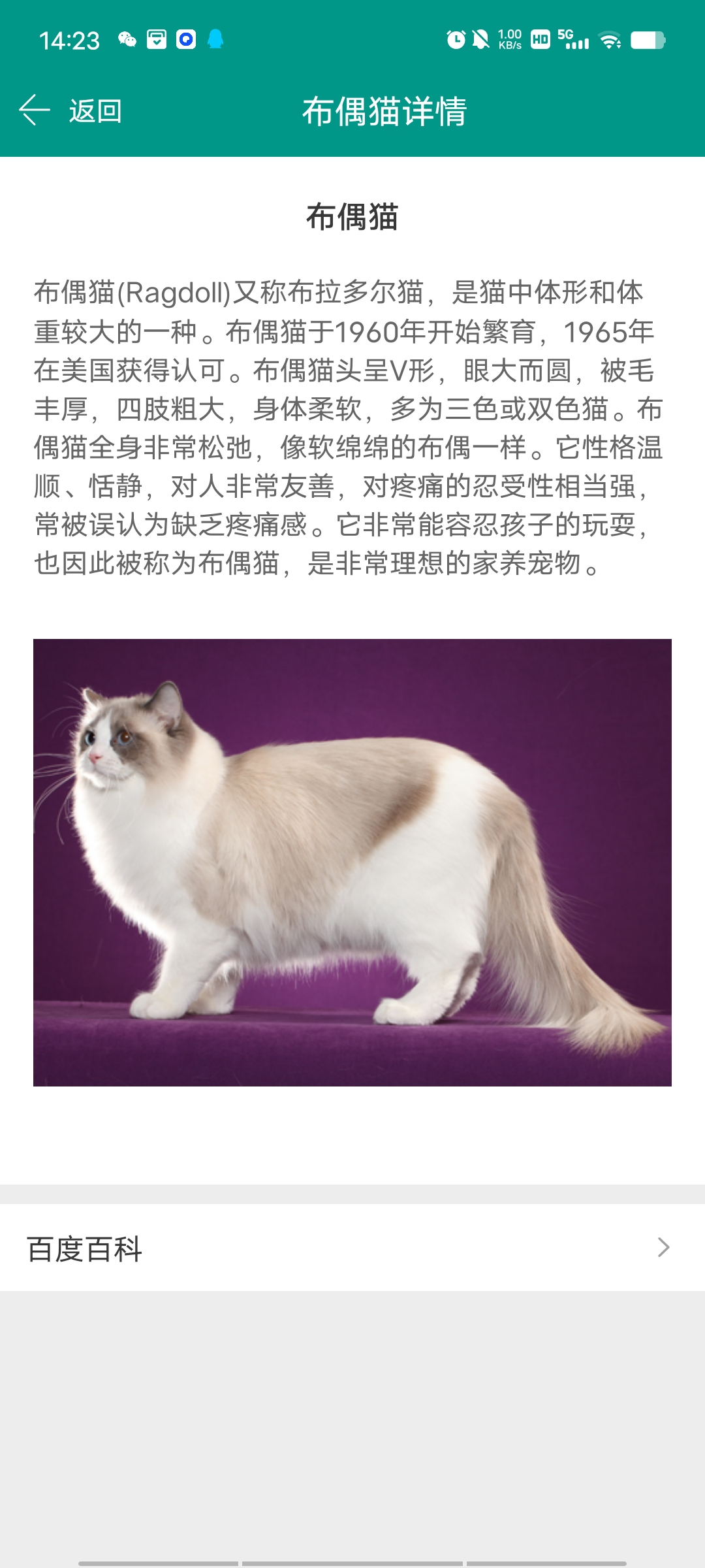 识丁app，秒杀同类付费软件，这工具很强！