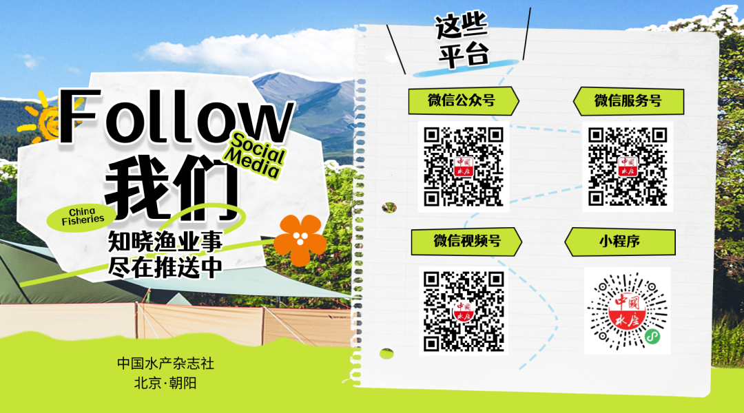 非洲女孩被AI识别出黑眼圈